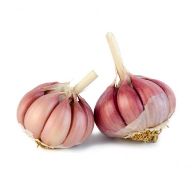 Festival Creole Garlic Up To 30mm Bulb Diameter - Starting at