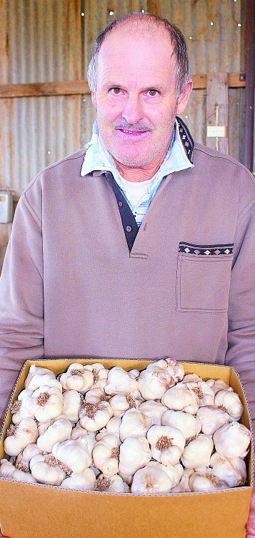 garlic producers